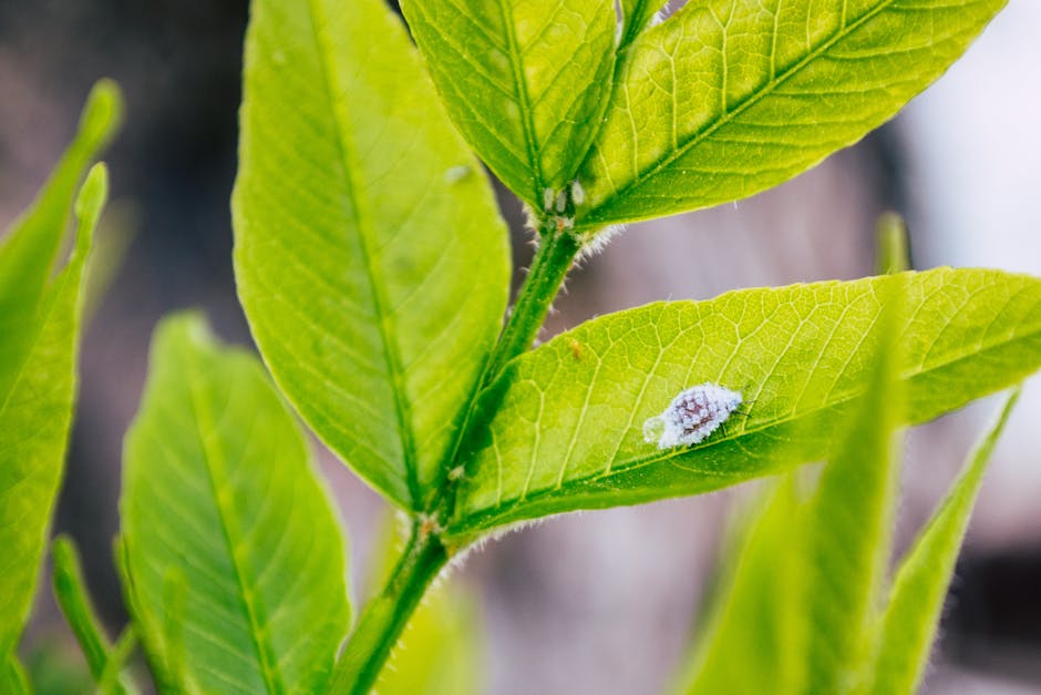 Breakthroughs in ecological studies