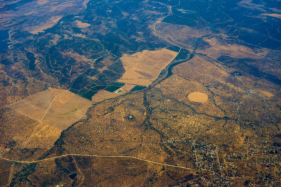 How to map ecosystems using drones