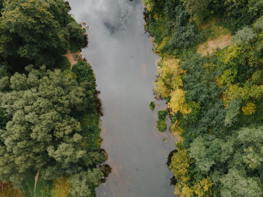 Exploring the Best Resources for Nature Enthusiasts