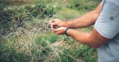 How to Study Plants in Their Natural Habitat