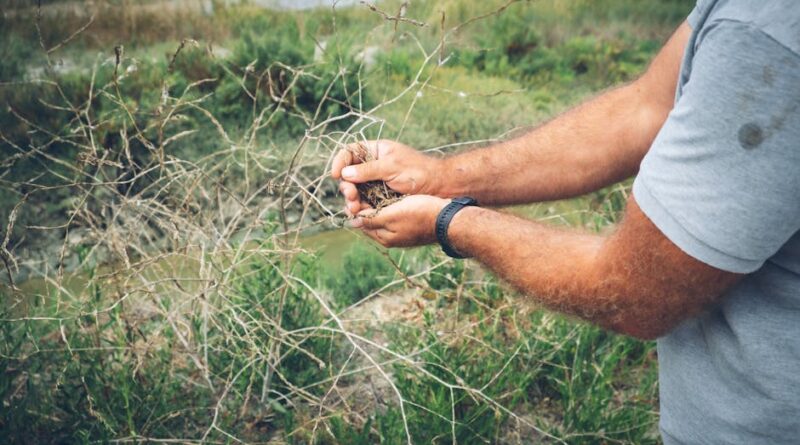 How to Study Plants in Their Natural Habitat