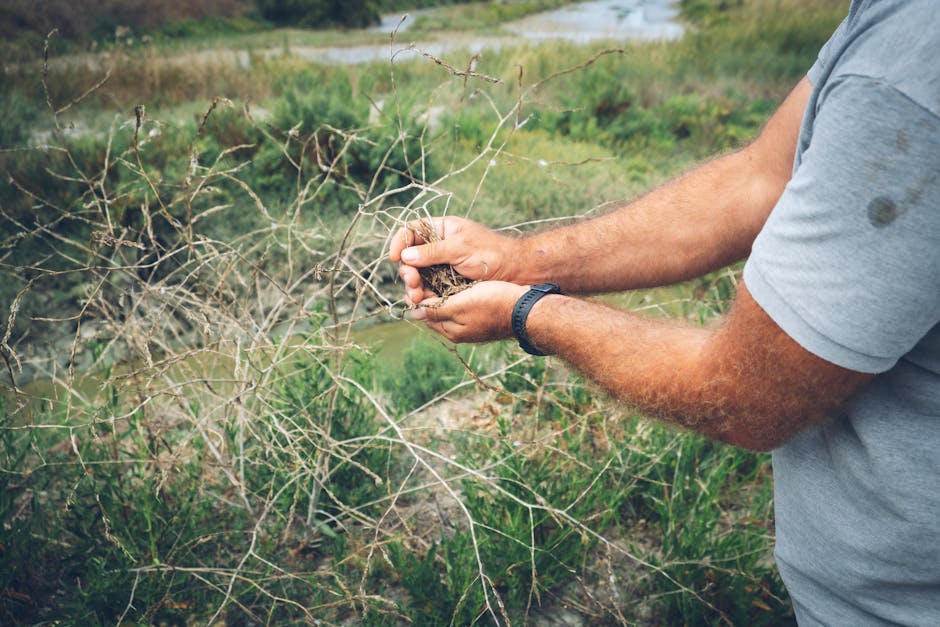 How to Study Plants in Their Natural Habitat