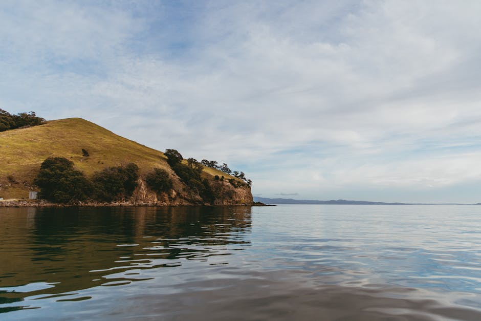 Exploring global biodiversity hotspots