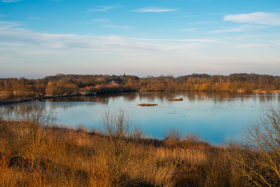 The importance of preserving water sources