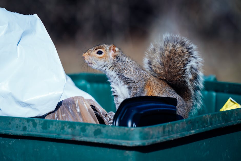 Exploring the impact of urbanization on wildlife