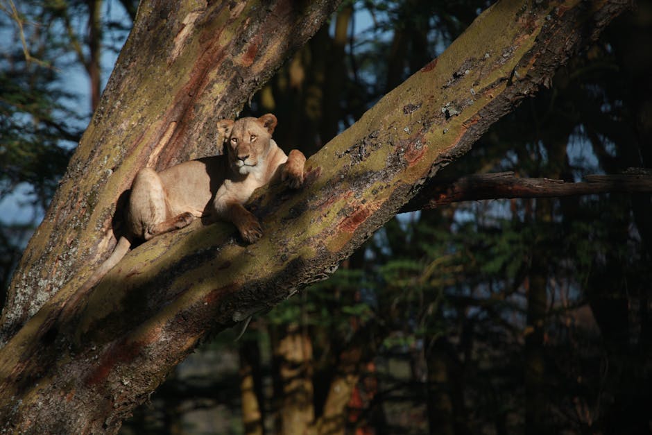 How to preserve natural habitats