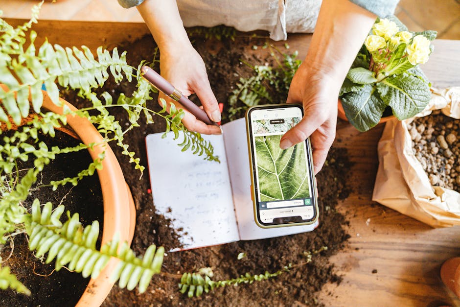 How to analyze soil for ecological research