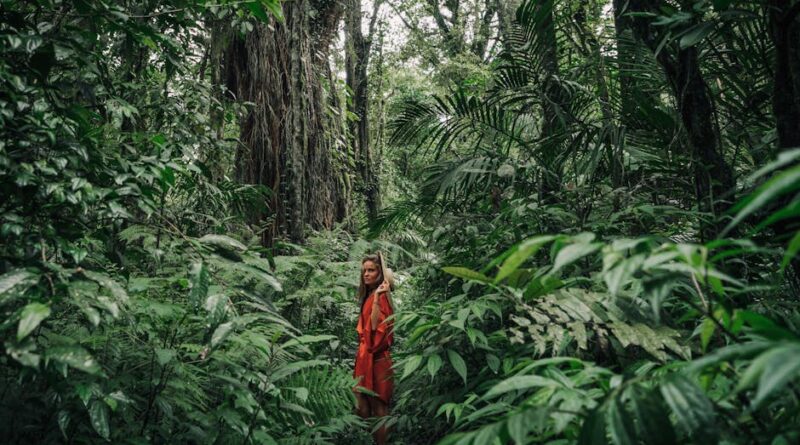 Exploring the Biodiversity of Rainforests