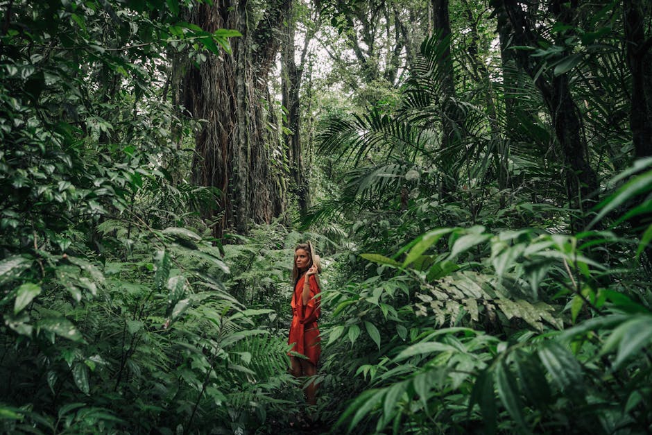 Exploring the Biodiversity of Rainforests